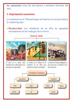 los yanaconas eran los servidores o esclavos directos del
inca.
3. Organización económica 
La economía en el Tahuantinsuyo se