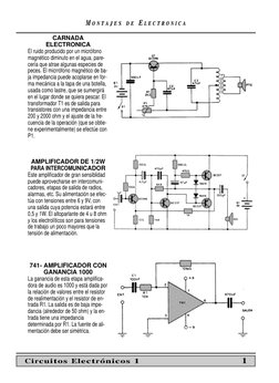 MM O N T
O N T A J E S
A J E S
D E
D E EE L E C T R O N I C A
L E C T R O N I C A
CARNADA 
ELECTRONICA
El ruido producido por