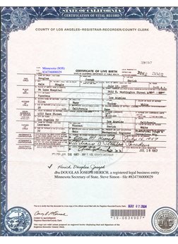 Minnesota Business Filing Details | PDF