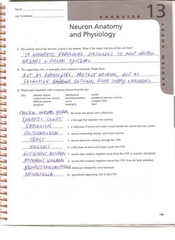 Lab Ex. 13 Review Sheet Answers0001 PDF | PDF