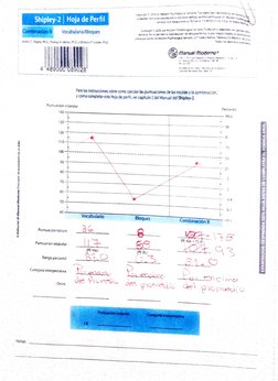 Shipley-2 Hoja de Perfl 
Vocabulario/Bloques 
ditora io se pemee ia regrucoion de niguna ina. N pr 
sia,sen aa 
Combinaion 8