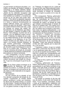 un gran templo con bloques de piedra, y re-
cubren sus paredes de madera; trabajan a
conciencia y el trabajo adelanta rápida-