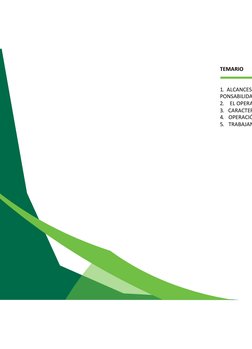 
 
 
 
TEMARIO 
 
 
1. ALCANCES
PONSABILIDA
2. EL OPERA
3. CARACTER
4. OPERACIÓ
5. TRABAJAN
