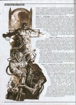 Warhammer 40k - Codex - Index Astartes I PDF | PDF