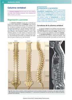 Anatomía clínica
92
Columna vertebral
La columna vertebral está formada por siete vértebras
cervicales, doce vértebras toráci