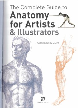 The Complete Guide To Anatomy For Artists & Illustrators Drawing The ...