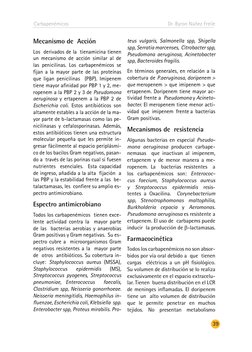 Carbapenémicos
39
Dr. Byron Núñez Freile
Mecanismo de  Acción
Los  derivados de la  tienamicina tienen 
un mecanismo de acció