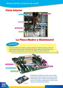 Fuente de Poder 
Lectora de CD/DVD 
Cooler del Procesador 
Conectores IDE 
Tarjeta de Video 
Memoria RAM 
Tarjeta de Red