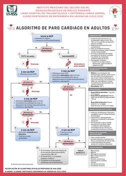 INSTITUTO MEXICANO DEL SEGURO SOCIAL
DELEGACIÓN ESTADO DE MÉXICO PONIENTE
UMAE HOSPITAL DE TRAUMATOLOGÍA Y ORTOPEDIA LOMAS VE