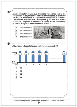 Juanito el explorador, en sus divertidas vacaciones salió a los 
bosques de “Ccoyahuacho” a observar mariposas, si el primer