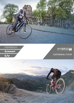 mobiles e-bike ladegerät Solarride SunLight – Autark laden mit Solar Rahmenhöhe:45 cm Vario-Sattelstütze SW-08 ohne Kabel Filzbälle