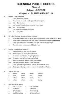 Class 5 Science: Growing Plants Guide | PDF | Seed | Germination
