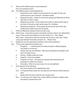 Class 5 Science: Growing Plants Guide | PDF | Seed | Germination