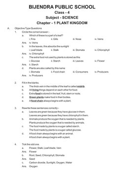 Class 4 Science: Plant Kingdom Overview | PDF | Leaf | Plants