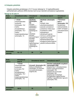 Intetho Elungiselelweyo: Imizekelo FET | PDF