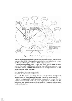 Figure 2-2. The three lcvcls of projcct management. 
nee1 ing work gets completed (Level III), often under intense management