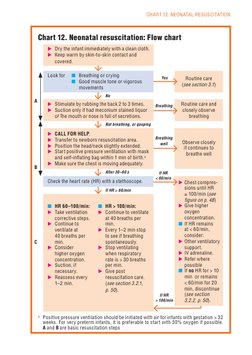Neonatal Resuscitation Flow Chart | PDF | Cardiopulmonary Resuscitation ...