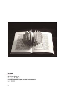 10
Sin título
Sin marco 40 x 50 cm
Con marco 73 x 83 cm
Fotografía B&N sobre papel baritado virado al sulfuro
Ed. 8-15, 1994
