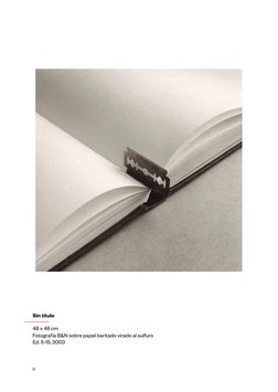 8
Sin título
48 x 48 cm
Fotografía B&N sobre papel baritado virado al sulfuro
Ed. 5-15, 2003
