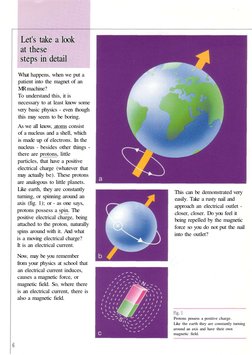 Let's take a look
at these
steps in detail
What happens, when we put a
patient into the magnet of an
MR machine?
To understan
