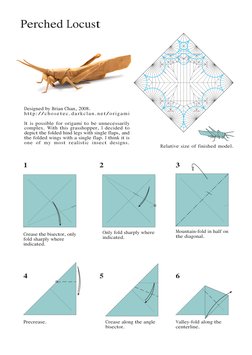 Step-by-Step Perched Locust Origami | PDF | Teaching Mathematics | Nature