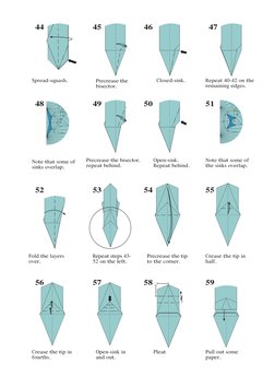 Step-by-Step Perched Locust Origami | PDF | Teaching Mathematics | Nature