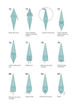 Step-by-Step Perched Locust Origami | PDF | Teaching Mathematics | Nature