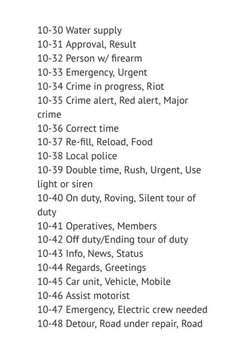 Security Guard 10 Codes Explained | PDF | Business