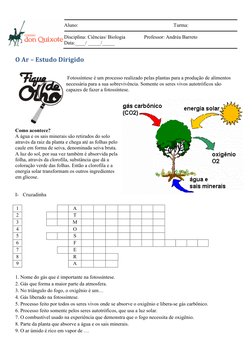  
O	  Ar	  –	  Estudo	  Dirigido	  
 
 
 Fotossíntese é um processo realizado pelas plantas para a produção de al
