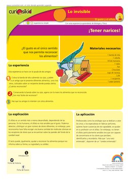 El gusto y el olfato
¡Tener narices!
La explicación 
El olfato es un sentido más o menos desarrollado, dependiendo de las 
pe