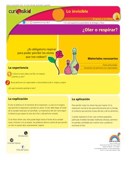 El gusto y el olfato
¿Oler o respirar?
La explicación 
El olor se detecta en el momento de la inspiración. La nariz es el órg