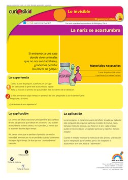 El gusto y el olfato
La nariz se acostumbra
La explicación 
Los centros del olfato reaccionan principalmente a los cambios 
d