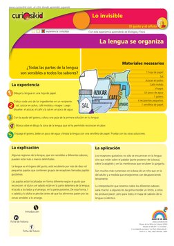 El gusto y el olfato
La lengua se organiza
La explicación 
Algunas regiones de la lengua, que son sensibles a diferentes sabo