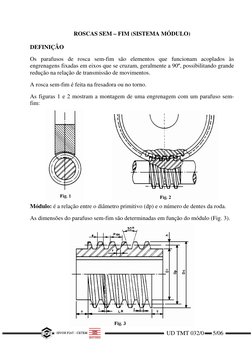 ROSCAS SEM – FIM (SISTEMA MÓDULO) 
 
DEFINIÇÃO 
 
Os parafusos de rosca sem-fim são elementos que funcionam acoplados às 
eng