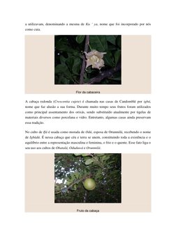 a  (http://gunfaremim.com/wp-content/uploads/2009/11/cabaçeira.jpg) (http://gunfaremim.com/wp-content/uploads/2009/11/cabaça-