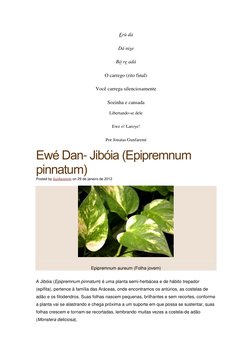 Erù  (http://gunfaremim.com/wp-content/uploads/2012/01/Epipremnum_aureum.jpg)dà 
Dá nise 
Bó re adá 
O carrego (rito final)