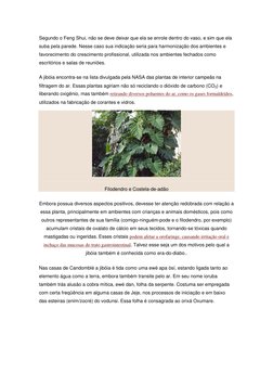 (http://gunfaremim.com/wp-content/uploads/2012/01/Filodendro-2.jpg)Segundo o Feng Shui, não se deve deixar que ela se enrole