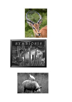  (http://3.bp.blogspot.com/-v9F9fjcbBKs/T8arRLpECsI/AAAAAAAAABQ/MPPN4zfdyIU/s1600/QU%2520E~1.JPG)