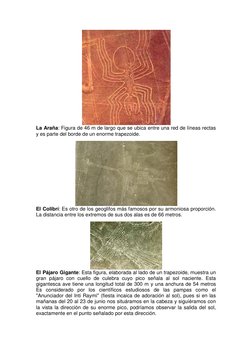 La Araña: Figura de 46 m de largo que se ubica entre una red de líneas rectas 
y es parte del borde de un enorme trapezoide