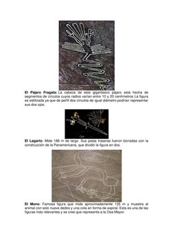 El Pájaro Fragata: La cabeza de este gigantesco pájaro está hecha de 
segmentos de círculos cuyos radios varían entre 10 y