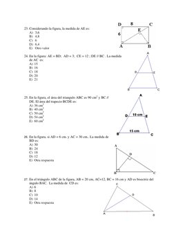 23. Considerando la figura, la medida de AE es: 
A)  3,6 
B)  4,8 
C)  6 
D)  6,4 
E)  Otro valor 
 
24. En la figura: AE = B