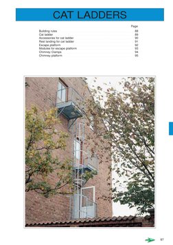 Cat Ladder Design and Safety Standards | PDF