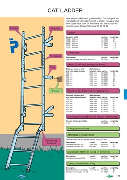 Cat Ladder Design and Safety Standards | PDF