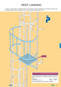Cat Ladder Design and Safety Standards | PDF