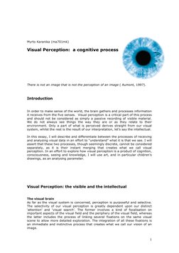 1 
 
 
 
 
 
Myrto Karanika (ma701mk) 
 
Visual Perception:  a cognitive process  
 
 
 
 
 
 
 
There is not an image that