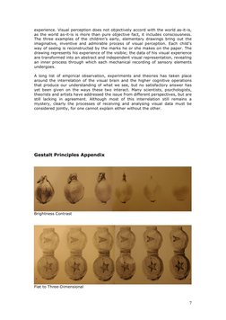 7 
experience. Visual perception does not objectively accord with the world as-it-is, 
as the world as-it-is is more than p