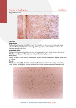 Paint Defect Inspection Guidelines | PDF | Paint | Rust