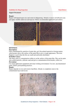 Paint Defect Inspection Guidelines | PDF | Paint | Rust