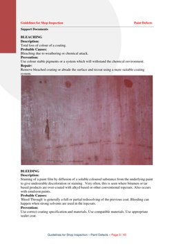 Paint Defect Inspection Guidelines | PDF | Paint | Rust