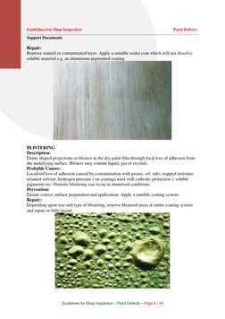 Paint Defect Inspection Guidelines | PDF | Paint | Rust